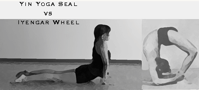 Seal or Wheel