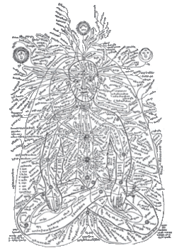 Figure 1 The Indian yogic map of nadis