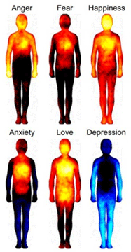 Map of the Body's Emotions