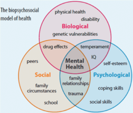 The biopsychosocial model