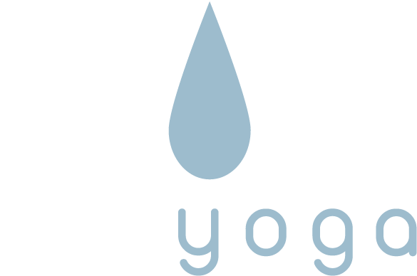 Yin Yang Yoga - Yin Yoga and Vinyasa Yoga Fusion Class — ChriskaYoga